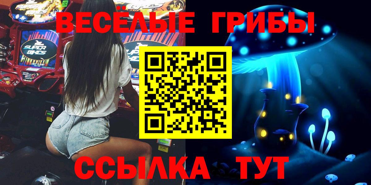 Псилоцибиновые грибы Psilocybine cubensis Шарыпово