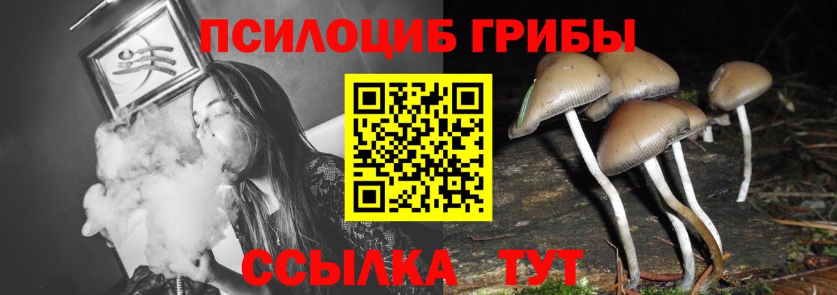 Псилоцибиновые грибы GOLDEN TEACHER  Вход с VPN  Псилоцибиновые грибы MAGIC MUSHROOMS  Шарыпово 